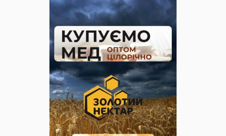 Закупаем мед оптом без антибиотиков - фото № 1