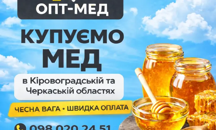 Закупівля меду з СОНЯХА в центральних регіонах. ОПТ-МЕД - фото № 1