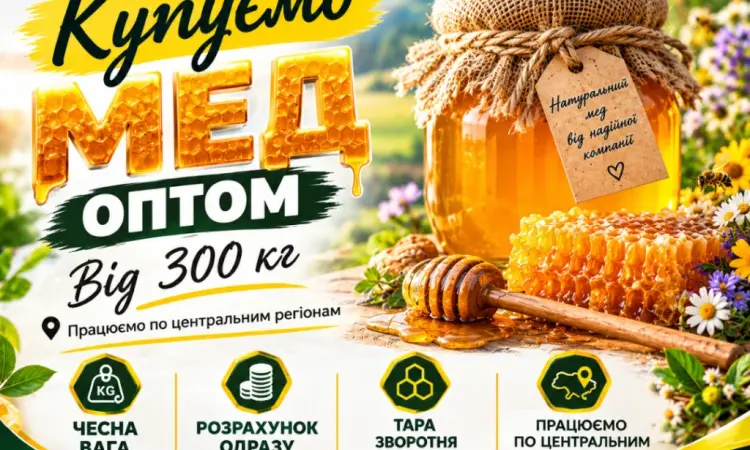 Закупка меда из СОНЯХА в центральных регионах. ОПТ-МЕД - фото № 1
