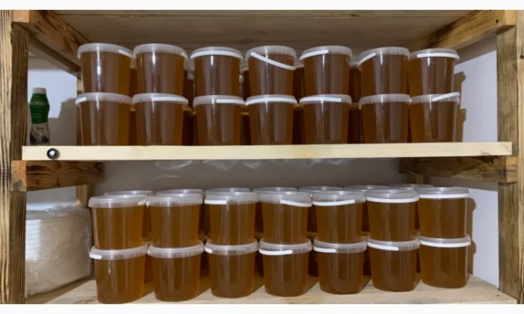 Продам натуральний мед із лісової пасіки, медові соти з рамкою, пилок, бджолине молочко - фото № 2