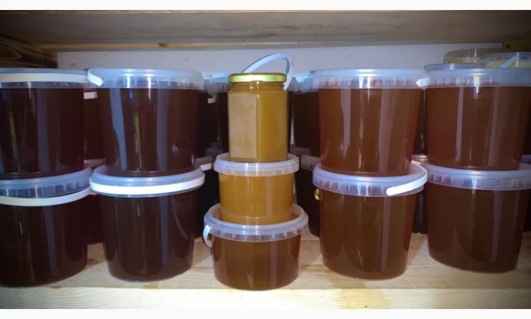 Продам натуральний мед із лісової пасіки, медові соти з рамкою, пилок, бджолине молочко - фото № 7