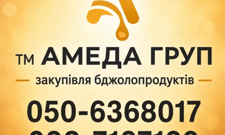 Закупаем сортовой МЕД акация - фото № 1