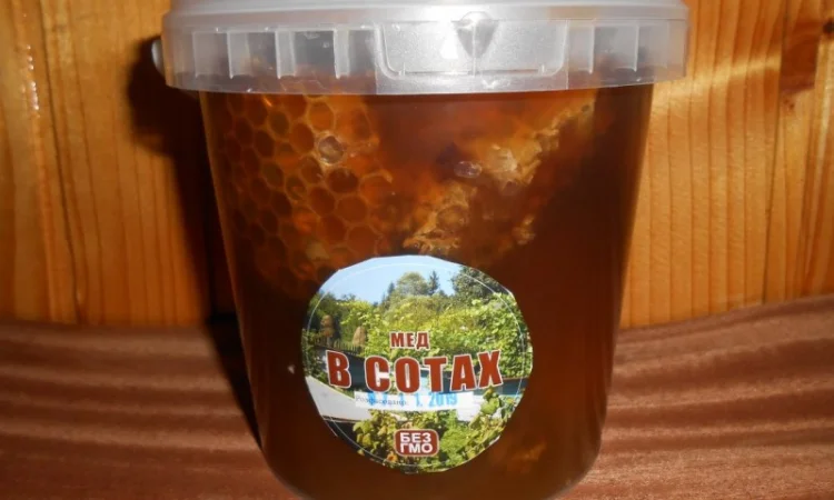 Лісовий мед в сотах - фото № 1