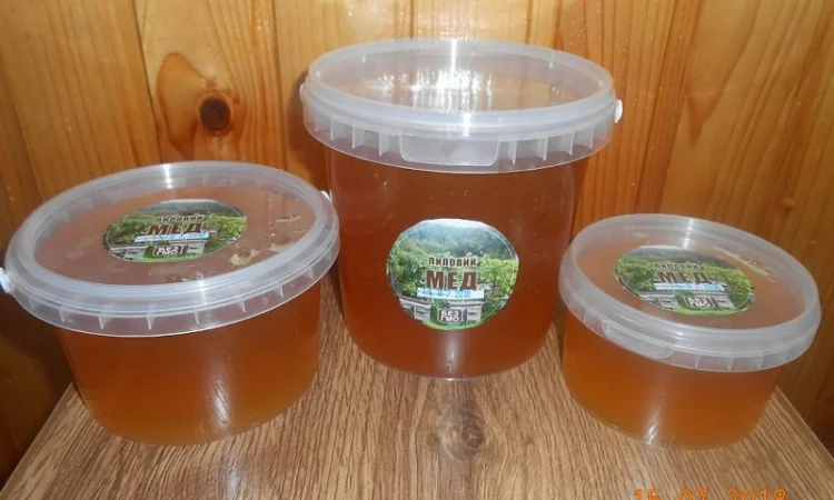 Липовий мед від виробника - фото № 1