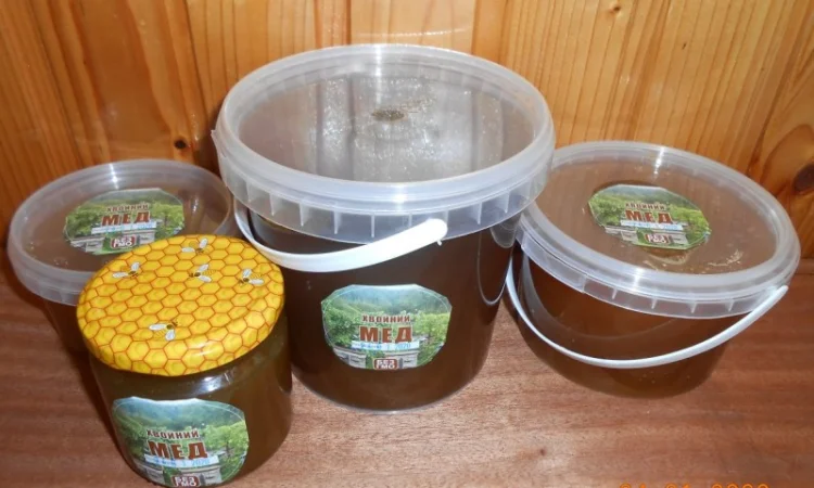 Хвойний мед - фото № 1