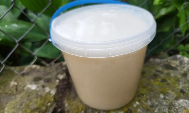 Продается домашний цветочный мед - фото № 1