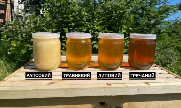 Продаж меду 2025 року - фото № 1