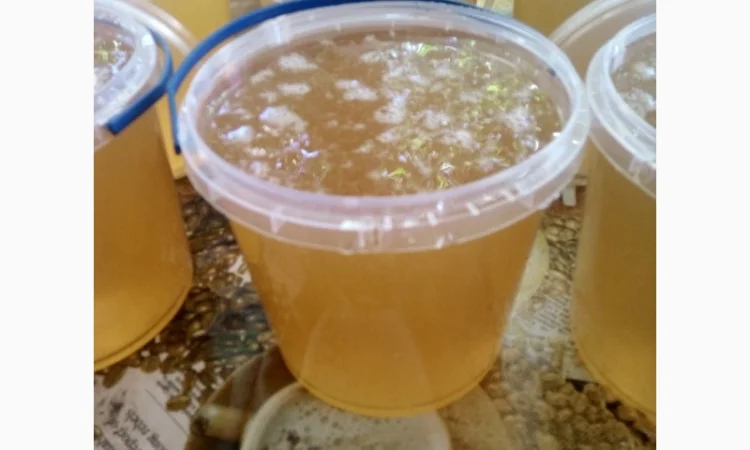 Продается мёд подсолнечника и мёд из рабса - фото № 1