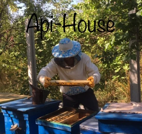 Пропонується натуральний мед 2022 з Харкова - фото № 2