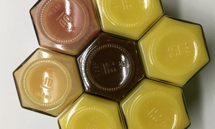 Крем-мед з сімейної пасіки у Харкові - фото № 9