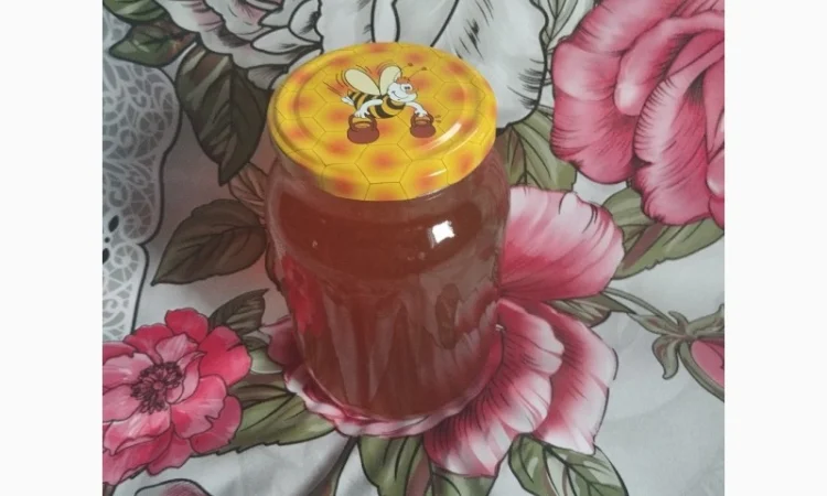 Продам мед (різнотрав'я) 2024 року - фото № 2