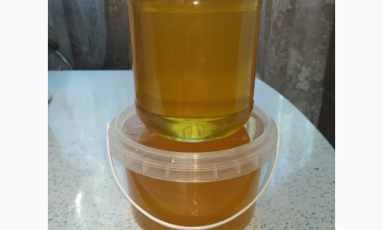 Натуральний мед з власної пасіки - фото № 2