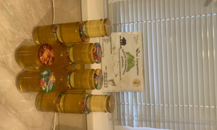 Пропонується екологічно чистий акацієвий мед - фото № 8