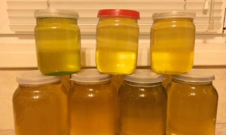 Пропонується екологічно чистий акацієвий мед - фото № 1