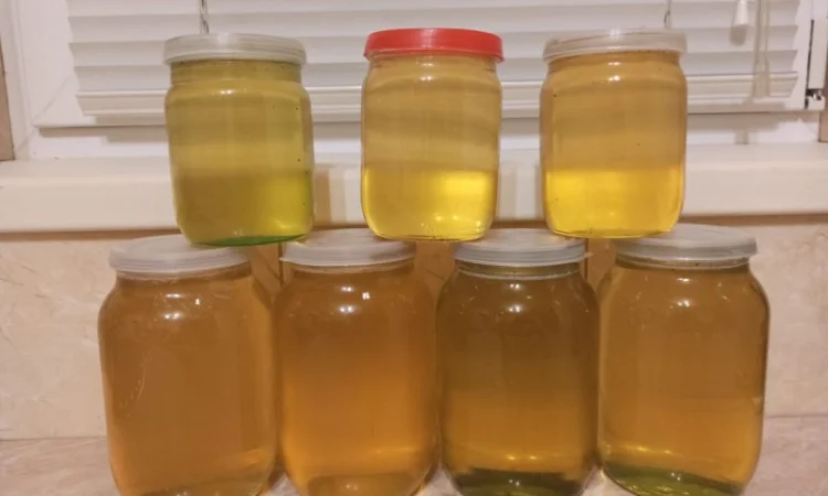 Пропонується екологічно чистий акацієвий мед - фото № 2