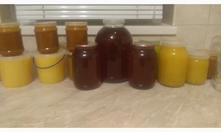 Пропонується екологічно чистий акацієвий мед - фото № 3