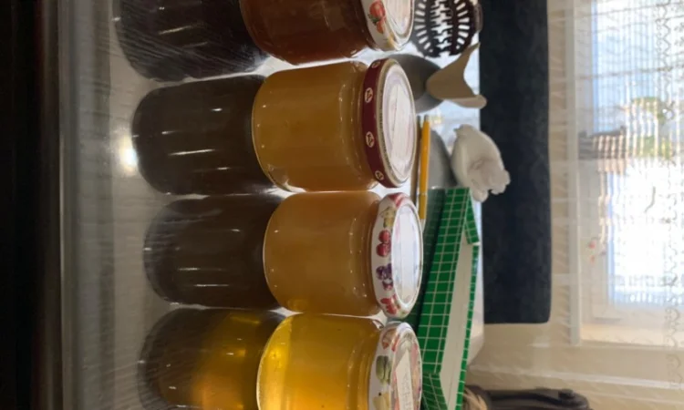 Пропонується екологічно чистий акацієвий мед - фото № 4