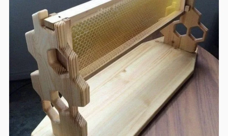 Пропонується екологічно чистий акацієвий мед - фото № 5