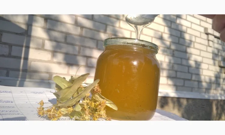 Продам мед з власної пасіки 2024 року – акацієвий та липовий - фото № 6