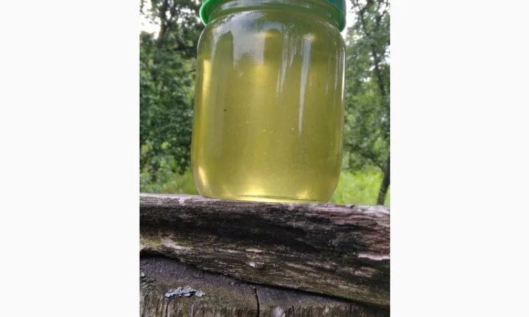 Продам мед з власної пасіки 2024 року – акацієвий та липовий - фото № 1