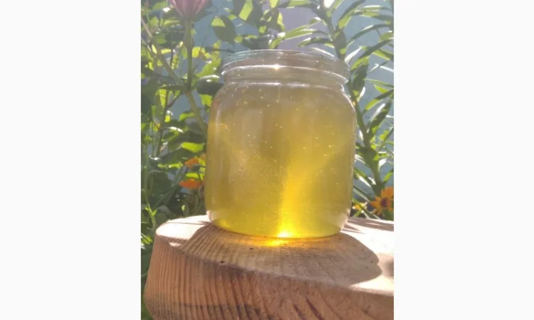 Продам мед з власної пасіки 2024 року – акацієвий та липовий - фото № 5