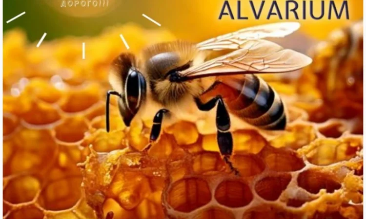 Куплю мед без антибиотиков - фото № 1