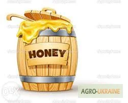 Закупаем мед без антибиотиков от пасечников - фото № 1