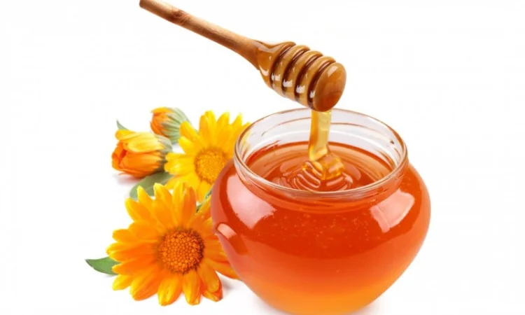 Купую мед оптом. Будь який об'єм - фото № 1