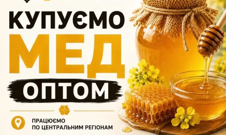 ОПТ-МЕД Покупаем МЕД в центральных областях - фото № 1