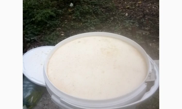 Мед на продаж - фото № 3