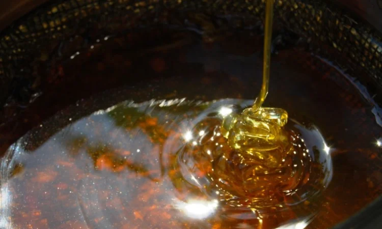 Мед в сотах 2025 года сбора - фото № 8