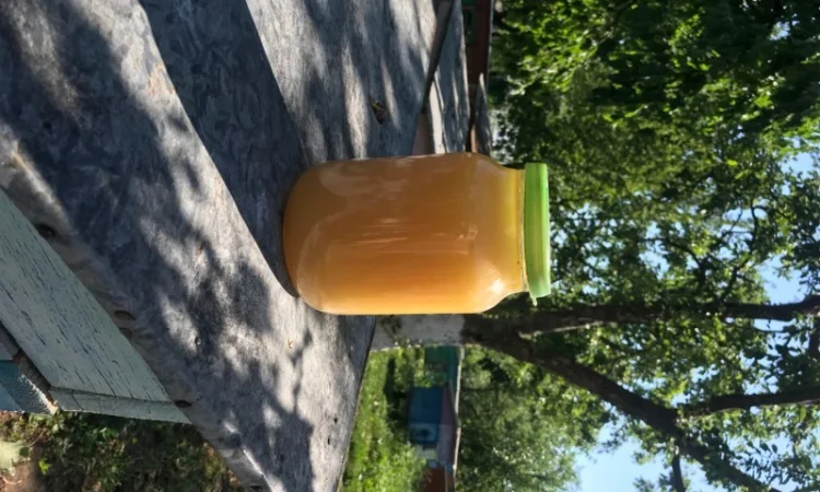 Продается свежий мед и пилок - фото № 1