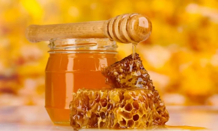 Компания "БИО ЛЕНД" — закупка мёда оптом - фото № 1