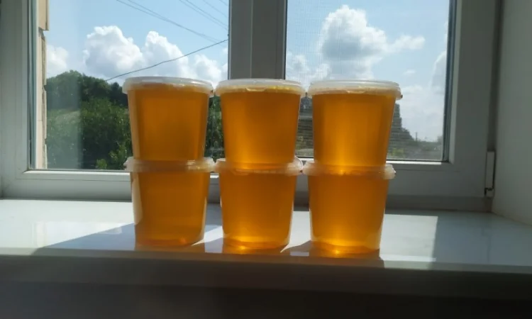 Продажа меда разных сортов - фото № 1