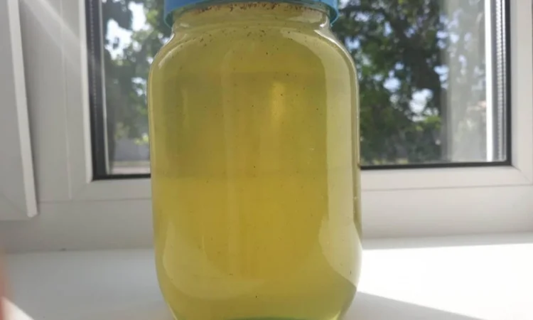 Мед акація 2024 року - фото № 2