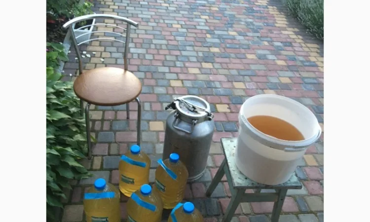 Мед акація 2024 року - фото № 3