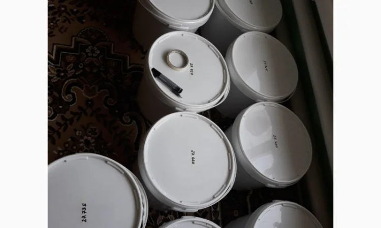 Мед акація 2024 року - фото № 4