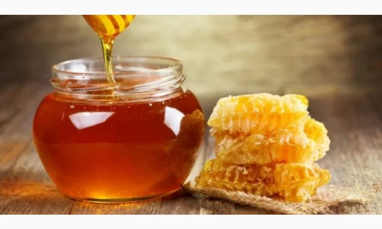Натуральный мёд с пасеки – ароматный и полезный - фото № 1