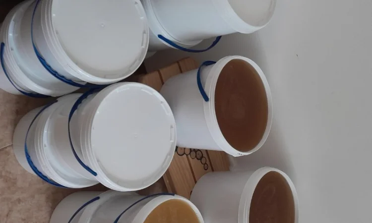 Продается травневый мед - фото № 1