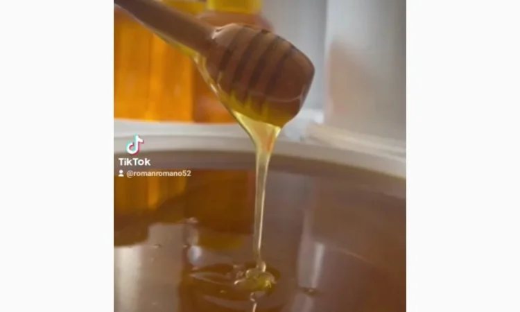 Продается травневый мед - фото № 4