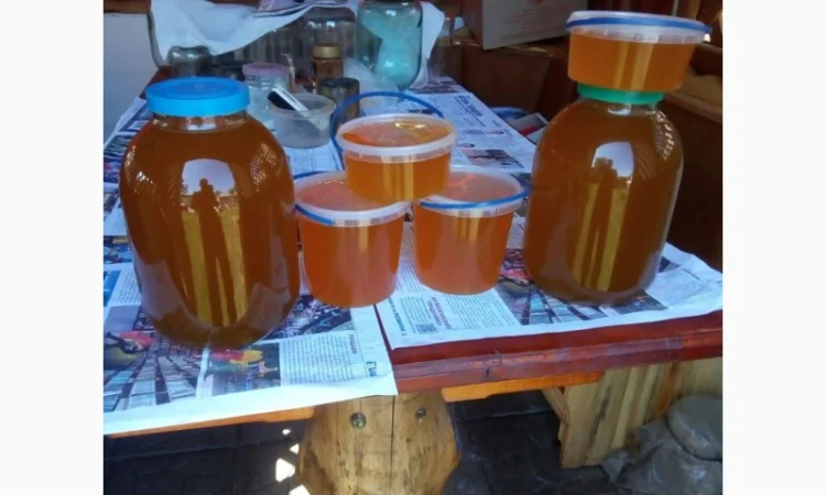 Продается мед с собственной пасеки - фото № 1