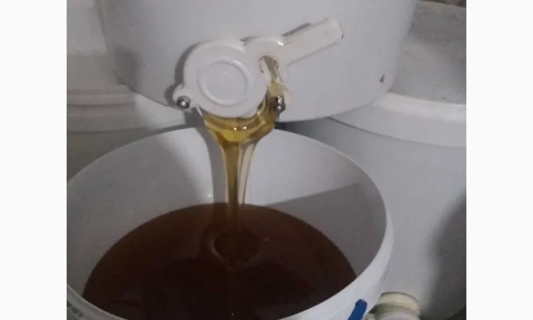 Продается мед разнотравья - фото № 1