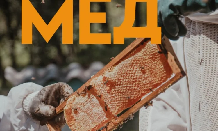 Купую мед від 300 кг у Черкасах - фото № 1