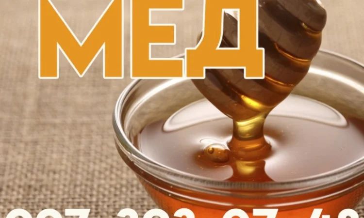 Купую мед від 300 кг у Черкаській області - фото № 1