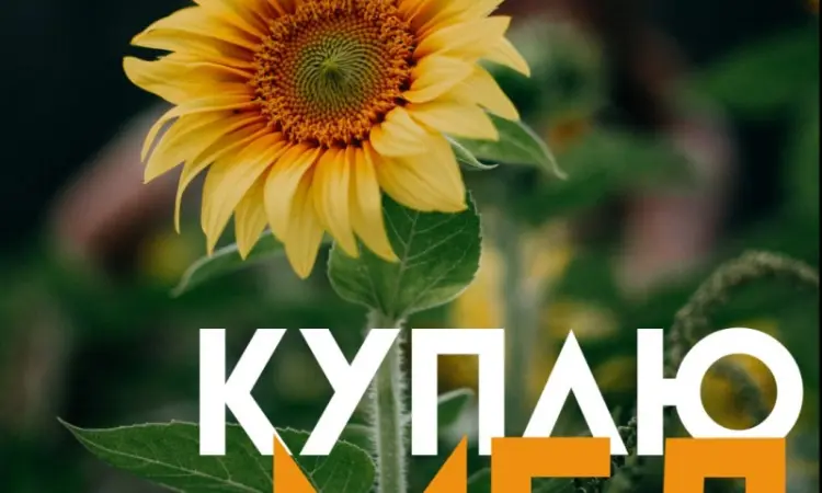 Закупка МЕДА в Кировоградской области - фото № 1