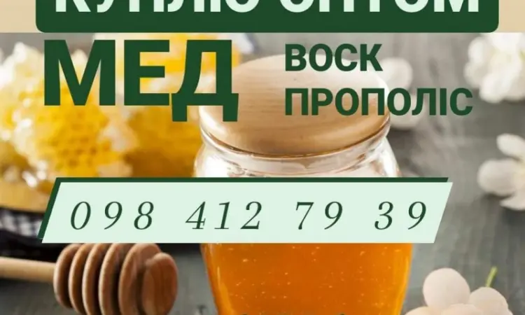 Закуповуємо мед в необмеженій кількості - фото № 1