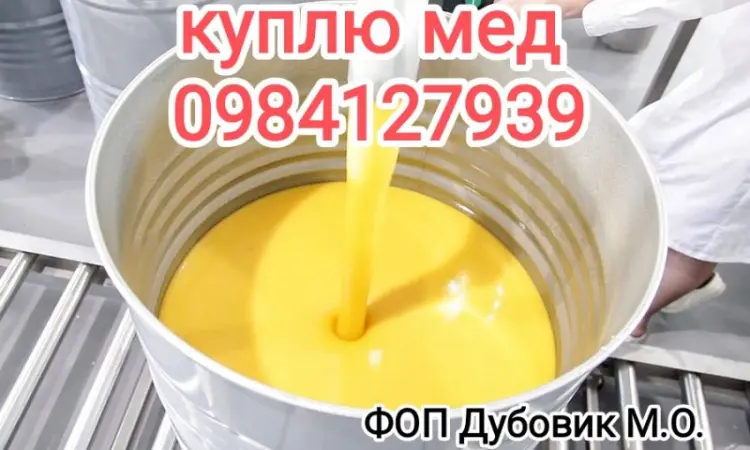Предприятие покупает мед от 300кг для экспорта - фото № 1
