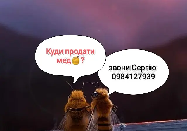 Куплю мед від 300кг - фото № 1