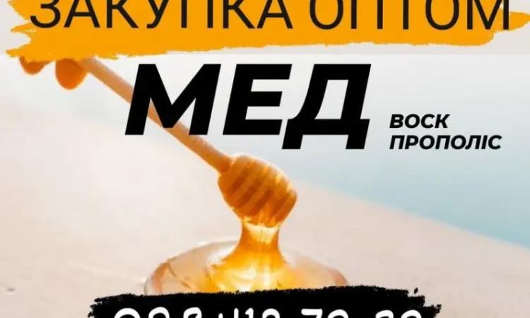 Куплю мёд для экспорта - фото № 1