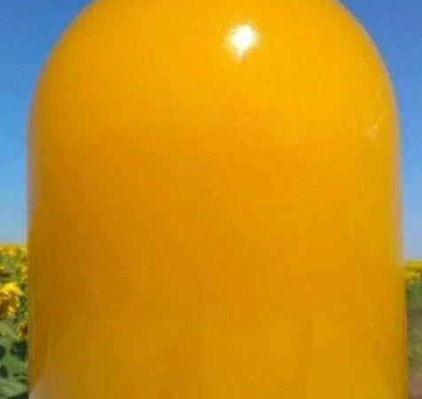 Пропонується мед майський ріпак 2023 року - фото № 1